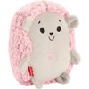 Fisher-Price Calming Vibes Hedgehog Soother - Pink - image 4 of 4