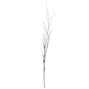 Vickerman Birch Branch Bundle of 3 - 1 of 1