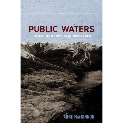 Public Waters - by  Anne MacKinnon (Paperback)