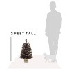 Perfect Holiday 24" Tabletop Matte Black Gold Tinsel Halloween Tree - 4 of 4