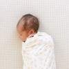 Little Unicorn Stretch Knit Crib Sheet - 4 of 4