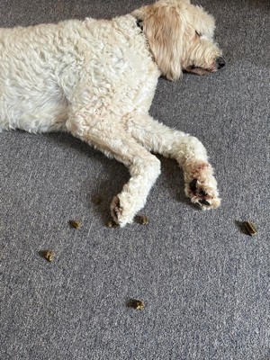 Caledon Farms Plaque Busters All Ages Dental And Hard Fresh Dog Treat ...