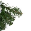 Northlight 24" Unlit Blue/Silver Peacock and Poinsettia Artificial Christmas Teardrop Swag - 3 of 4