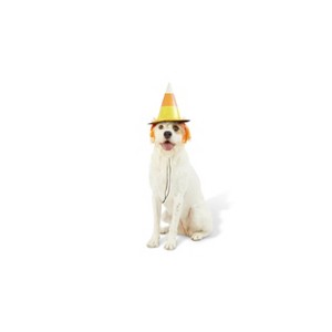 Candy Corn Witch Hat Dog and Cat Costume - Hyde and EEK! Boutique™ Black - 1 of 4