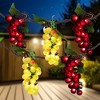 Northlight 5-Count Red and Green Grape Cluster String Light Set, 8ft Brown Wire - 2 of 4