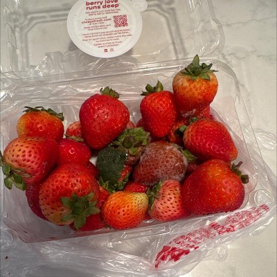 Guest review image 1 of 1, zoom in