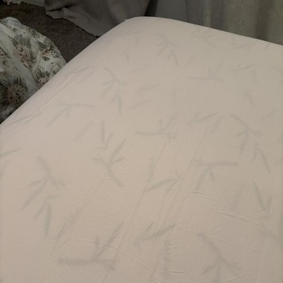 Guest review image 1 of 2, zoom in