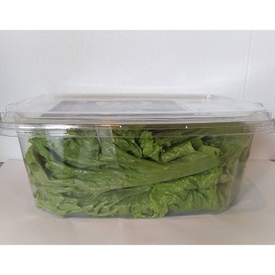 Washed & Trimmed Green Leaf Lettuce - 7oz