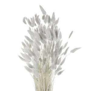 Unique Bargains Decorative Natural Dried Floral Bunny Tail Artificial Plants 120 Pcs - 1 of 4