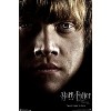 Trends International Harry Potter and the Deathly Hallows: Part 1 - Ron One Sheet Unframed Wall Poster Prints - 4 of 4