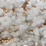 cream, mustard, charcoal, lightgray, lightbrown, mediumbrown