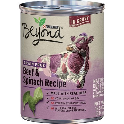 beyond purina wet dog food