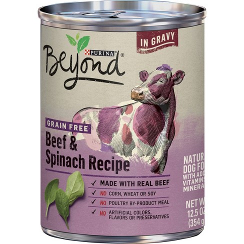 Purina Beyond Grain Free In Gravy Wet Dog Food Beef Spinach Recipe 12 5oz Target