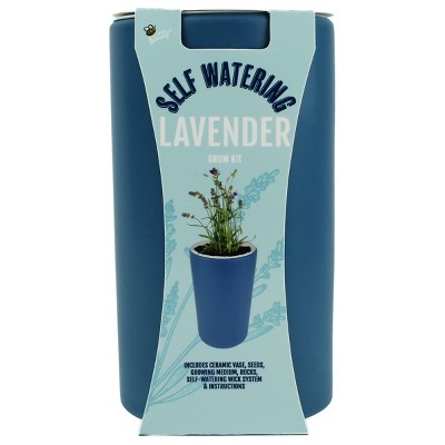 Buzzy Seeds Ceramic Self Watering Grow Kit - Lavender