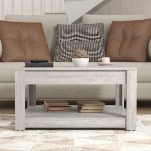 Galano Philia 31.5 in. Square Wood Top Coffee Table with Storage in Knotty Oak, Dusty Gray Oak - 1 of 4