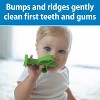 Dr. Brown's Peapod Teether & Training Toothbrush - Soft & Safe Silicone - 3m+ - 3 of 4