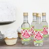 Big Dot of Happiness Sweet Watermelon - Mini Wine and Champagne Bottle Label Stickers - Fruit Party Favor Gift for Women and Men - Set of 16 - 3 of 4