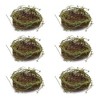 Twig Bird Nest with Moss (Set of 6) - 3 of 3