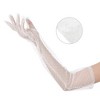 INSPIRE CHIC Women's Polka Dot Mesh Extra Long Gloves - 3 of 4