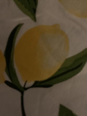 Guest review image 2 of 3, zoom in