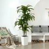 DR.Planzen UV Resistant Artificial 6-7FT Tall Pre Potted Dracaena Tree with White/Brown Tall Square Planter for Indoor Outdoor House Home Decor - 2 of 4