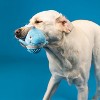 ZippyPaws Dog Toy, Feeling Whaley Good!, Teeth and Gum Cleaning TPR Spiky Ball, Pet Shop Collection - 4 of 4