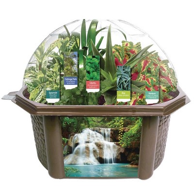 Dunecraft Sensory Eco-Biosphere Plant Dome with 5 Different Plant Seeds