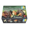 Yellow Door Let's Investigate – Prehistoric Teeth, Set of 8 - 2 of 4