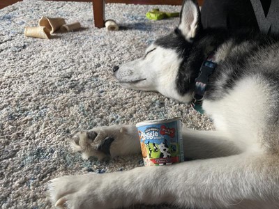 Dog ice cream target sale