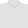 Black Bow Jewelry 3.25mm, 14k Yellow Gold, Diamond Cut Solid Rope Chain Necklace - 2 of 4