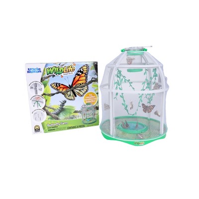 butterfly science kit