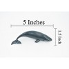 Collectible Wildlife Gifts | Sperm Whale Baby, Cetacean, Marine Mammal, Museum Quality, Hand Painted, Rubber Animal, Toy , Gift,  5"  CH322 BB132 - 3 of 4
