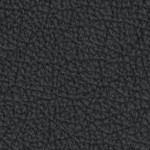 michigan state spartans