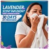 Purex with Crystals Fragrance Lavender Blossom Liquid Laundry Detergent - 150 fl oz - 2 of 4