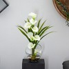 Nearly Natural 15.5-in Calla Lily and Grass Artificial Arrangement in Vase, Cream - 2 of 2