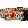 Country Brook Petz® Deluxe Fall Foliage Dog Collar- Made In The U.s.a.,  Medium : Target