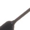bronze hook