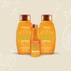 Aveeno Apple Cider Vinegar Blend Sulfate Free Shampoo for Balance and High Shine - 12 fl oz - image 4 of 4