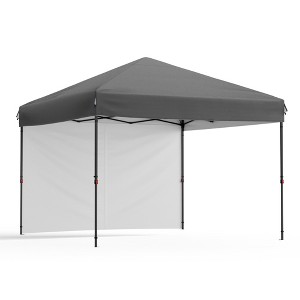 COZONY 10x10 FT Pop-Up Canopy Tent, One Person Setup Instant Shelter with Sidewall & Sandbags for Outdoor Activities - 1 of 4