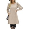 Women Knit Dress Puff Long Sleeve Dress for Fall Winter Round Neck Casual Tunic Dress - 2 of 4