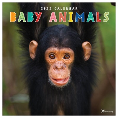 2022 Wall Calendar Baby Animals - The Time Factory