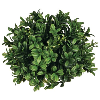 Sullivans Boxwood Half Orb Decorative Filler 5"H Green