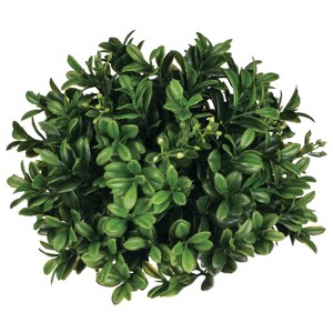 Sullivans Boxwood Half Orb Decorative Filler 5"H Green - 1 of 2