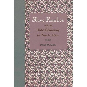Slave Families and the Hato Economy in Puerto Rico - by  David M Stark (Paperback) - 1 of 1