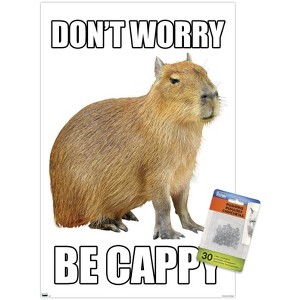 Trends International Capybara - Be Cappy Unframed Wall Poster Prints - 1 of 4