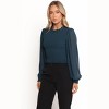 Aranha Sheer Sleeve Top - 3 of 4