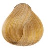 L'oreal Tecnique HiColor Blondes for Dark Hair Only (#H16 HONEY BLONDE) Loreal HighColor Permanent Dye High Color - 3 of 3