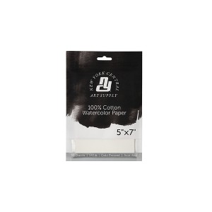 New York Central Watercolor Paper Sheets Pack of 10 - Professional Grade, Acid-Free, Archival, Superior Surface Stability for Artists, Students - For - 1 of 4