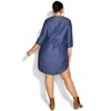 Avenue Women's Plus Size Mae Pintuck Shirtdress - 4 of 4