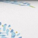 bluebirds light blue